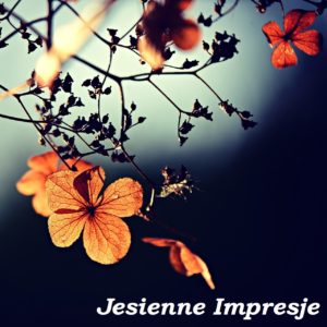 Koncert Jesienne Impresje 2013